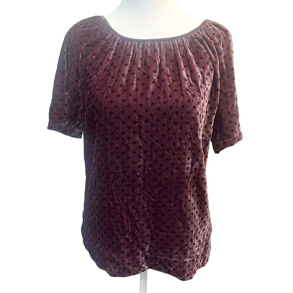 Vintage Y2K Velvet Floral Peasant Boho Top Puff‎ Sleeves Quiet Luxury Whimsigoth